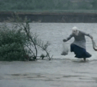 75844e07587.gif