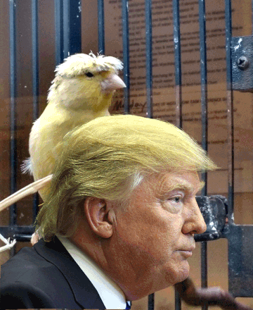 9d886eb67.gif
