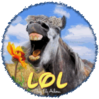 adb252Dlol252Dtag252Dlol.gif~c200.gif