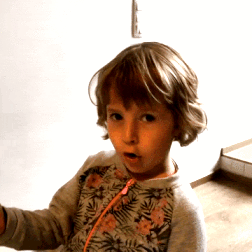 alx.gif