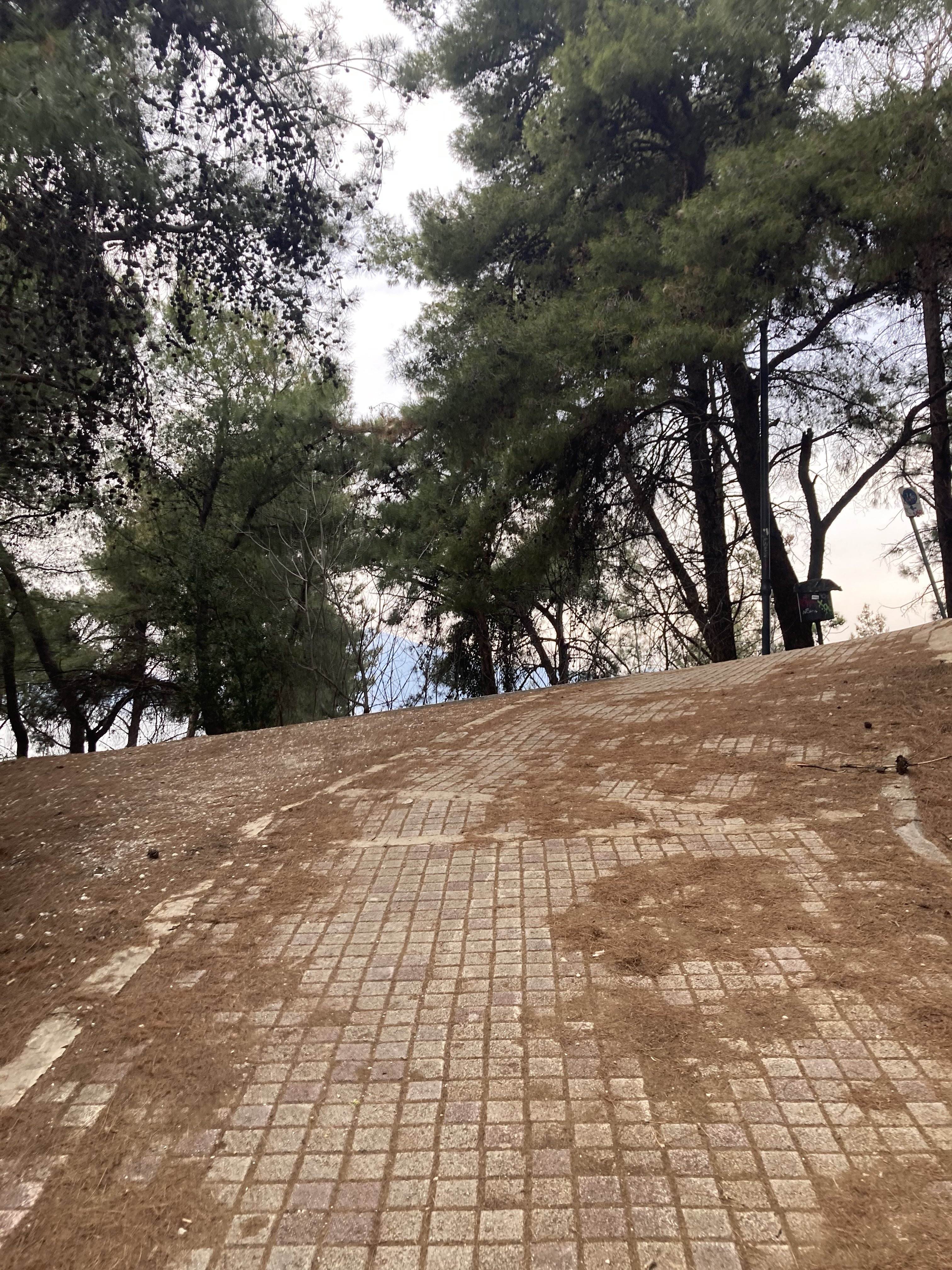 B065DE50-C876-4568-BD55-44D66100804F.jpeg