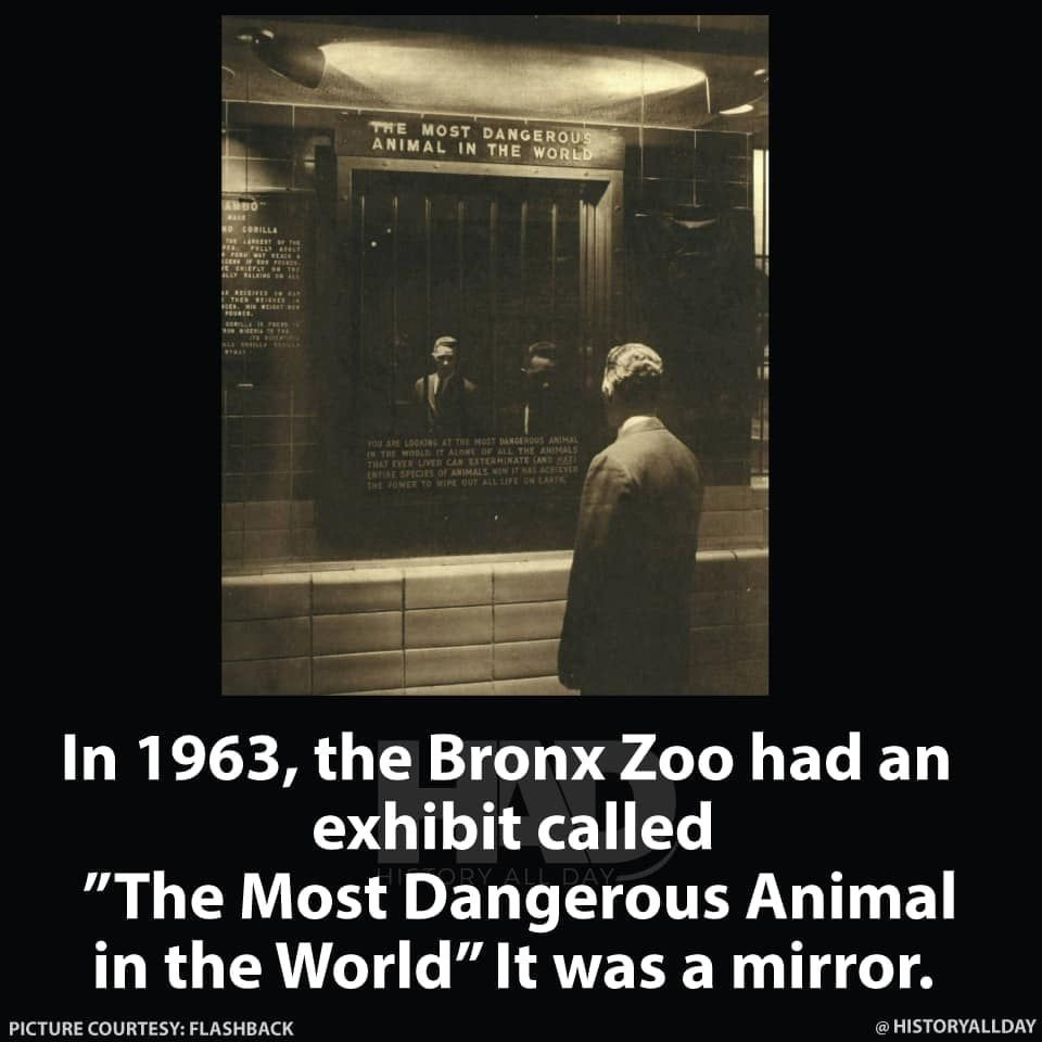 b73eab38e14a6c6fb0318ca05ac77041.jpg