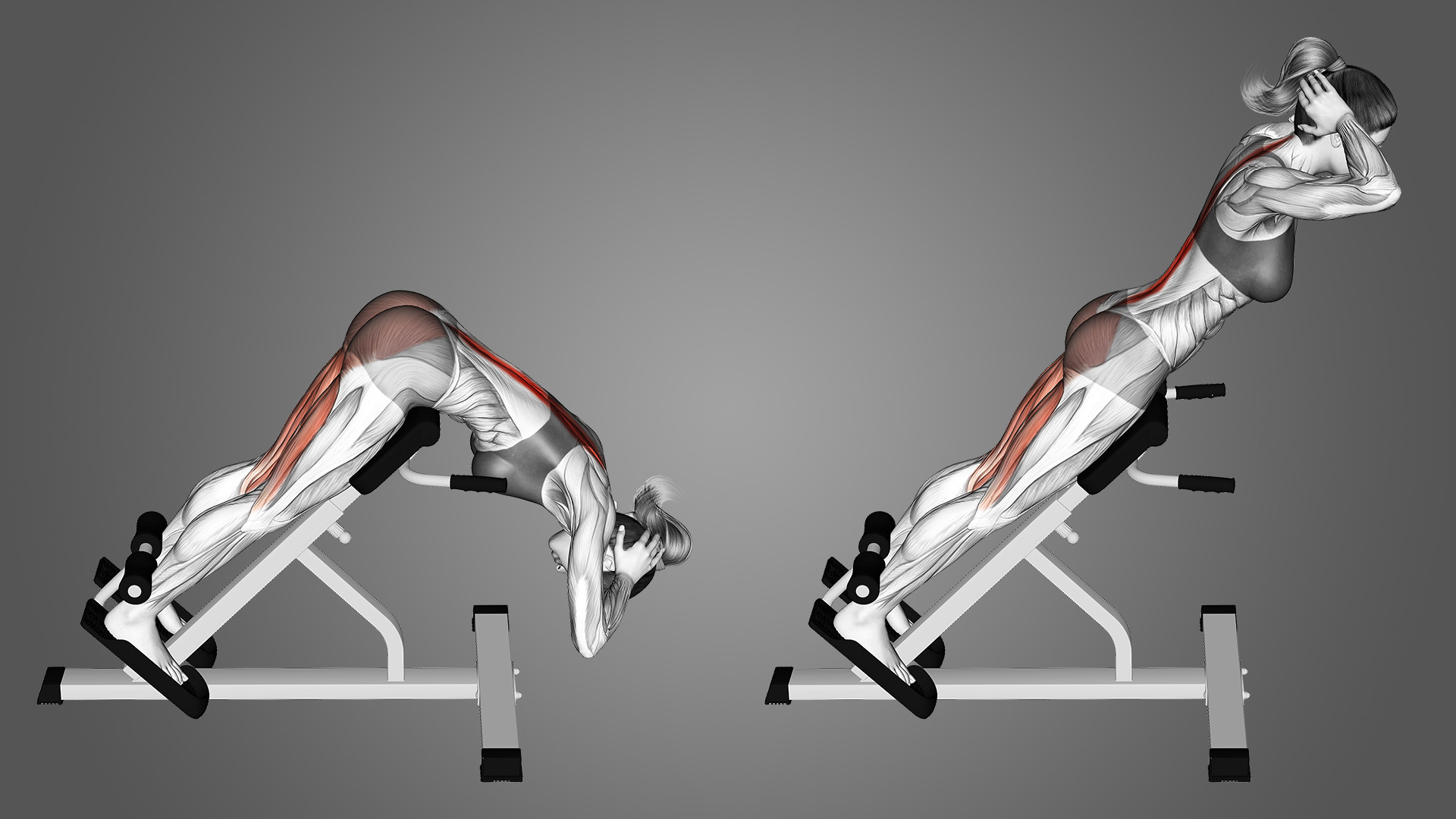 back-extension-benefits.jpg