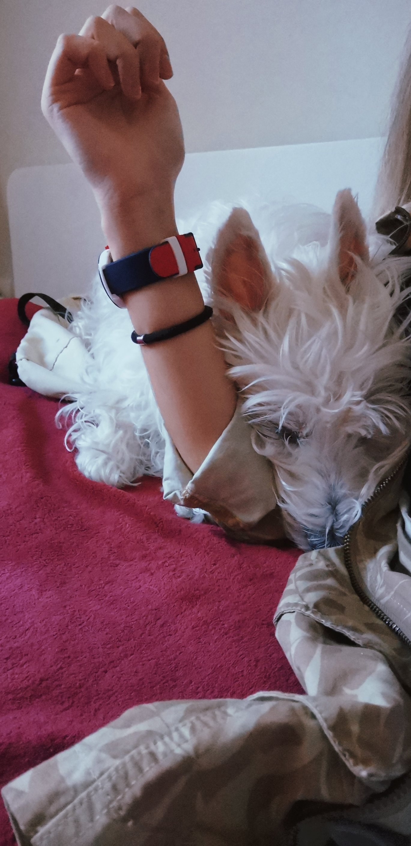 beauty_20201024170416.jpg