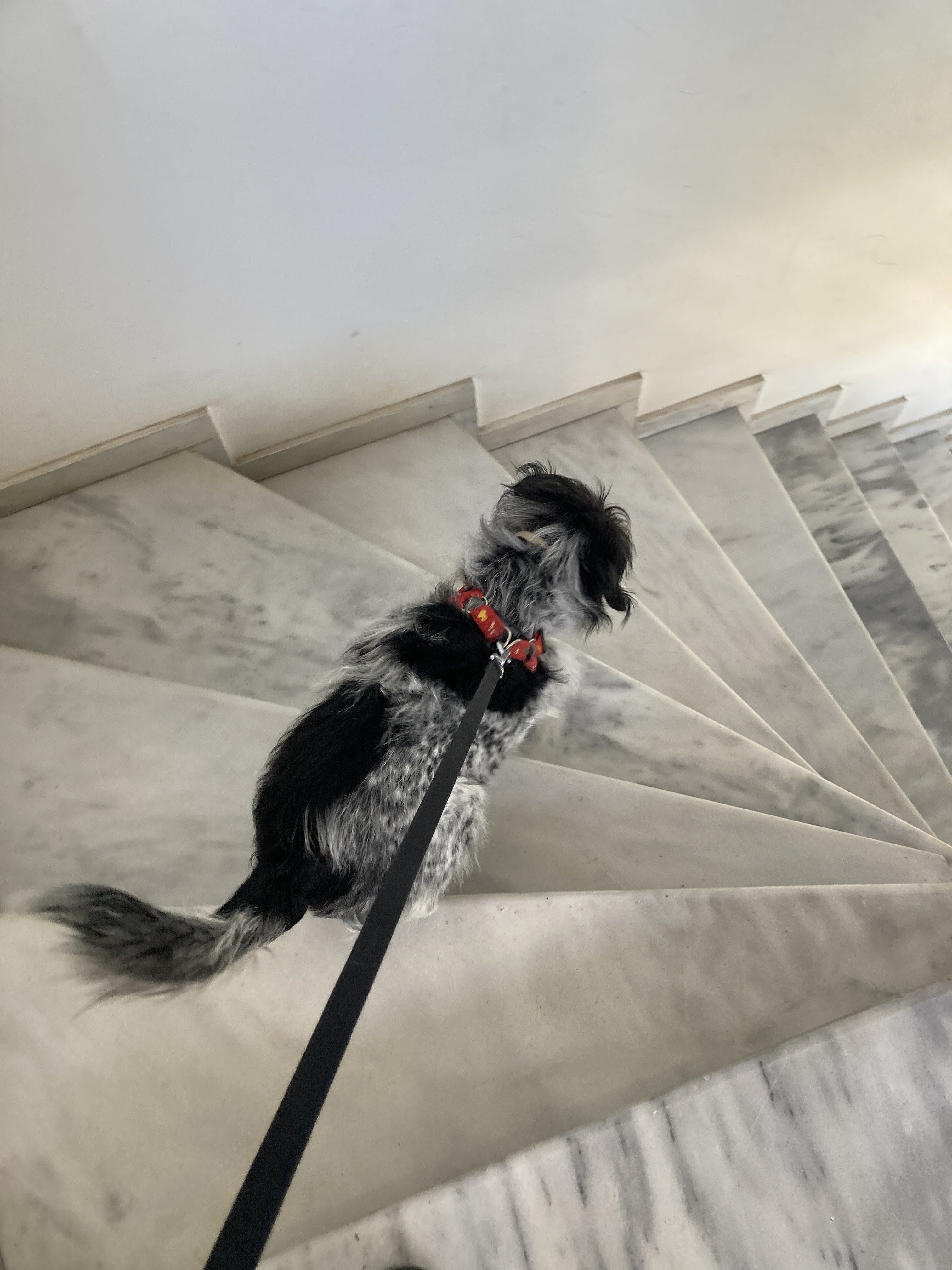 C72490E0-14A7-4F71-9D67-388B038A88F5.jpeg