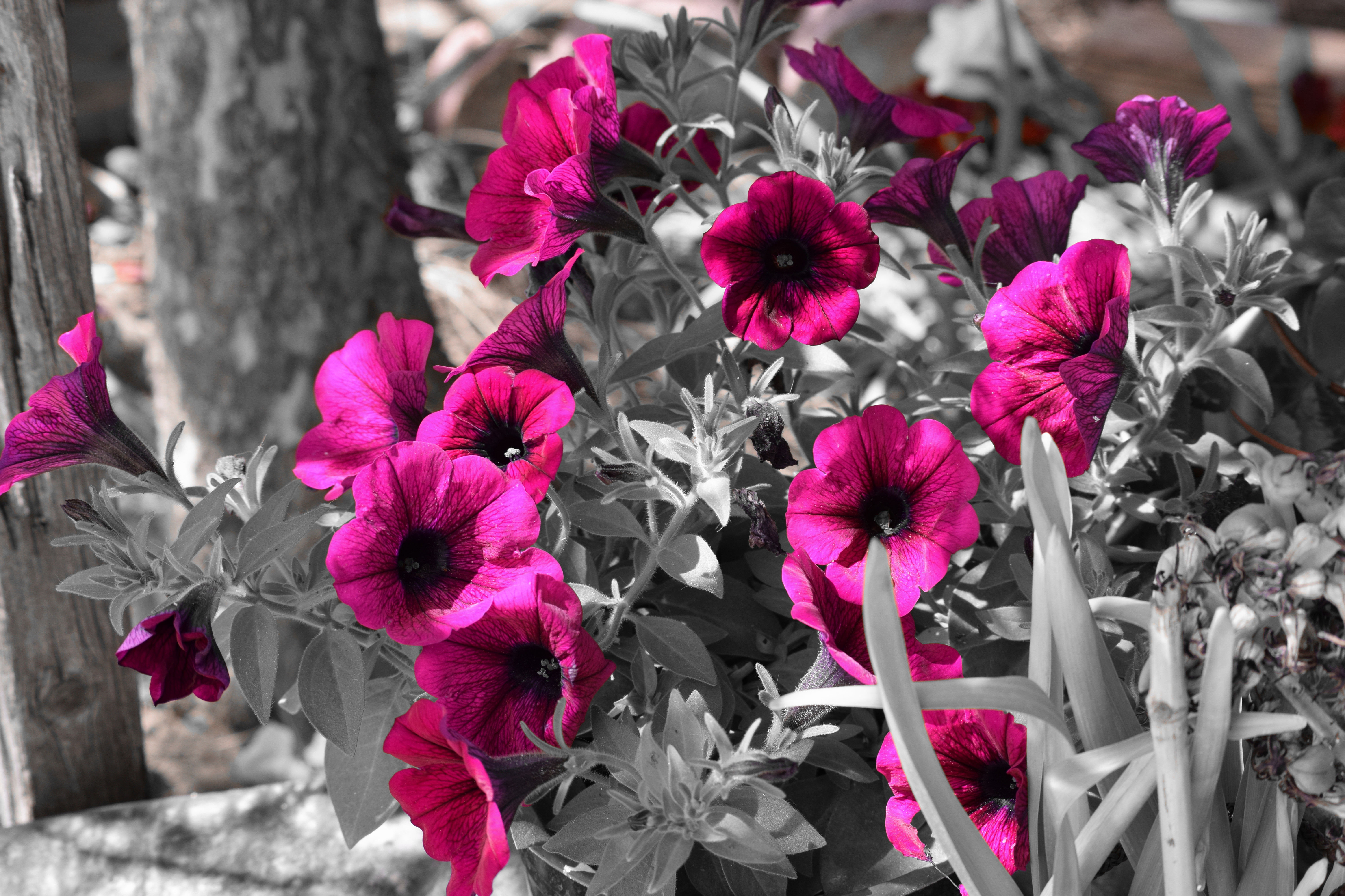 CSC_0856.JPG