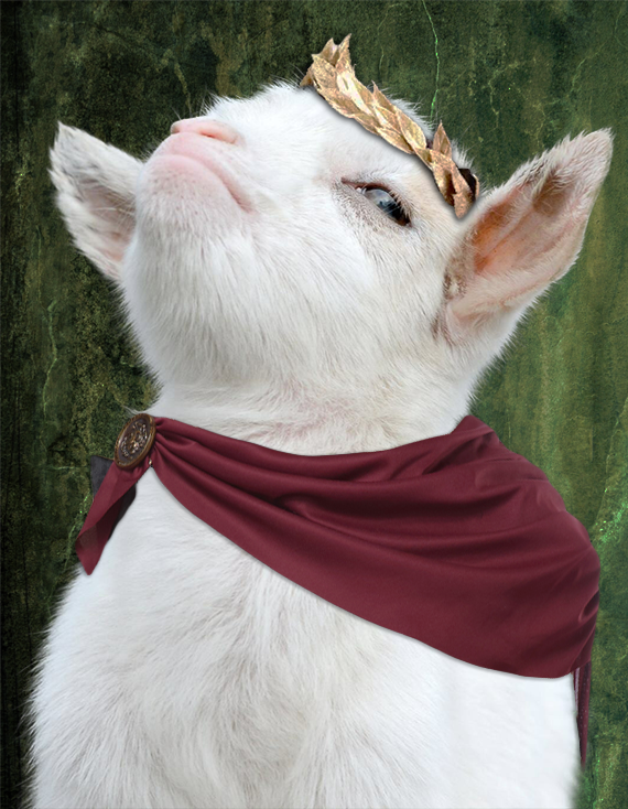 download (1).png