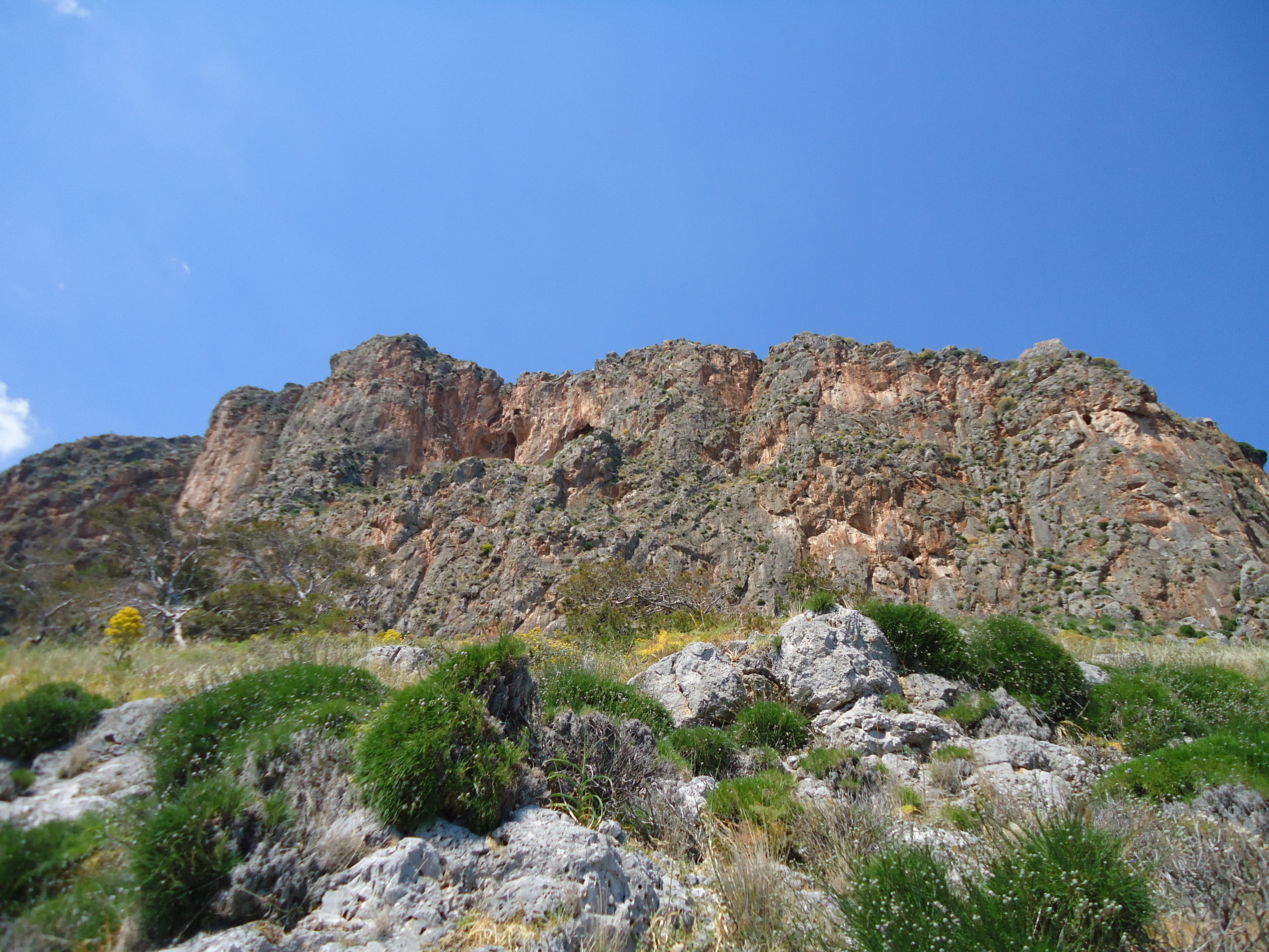 DSC00534.JPG