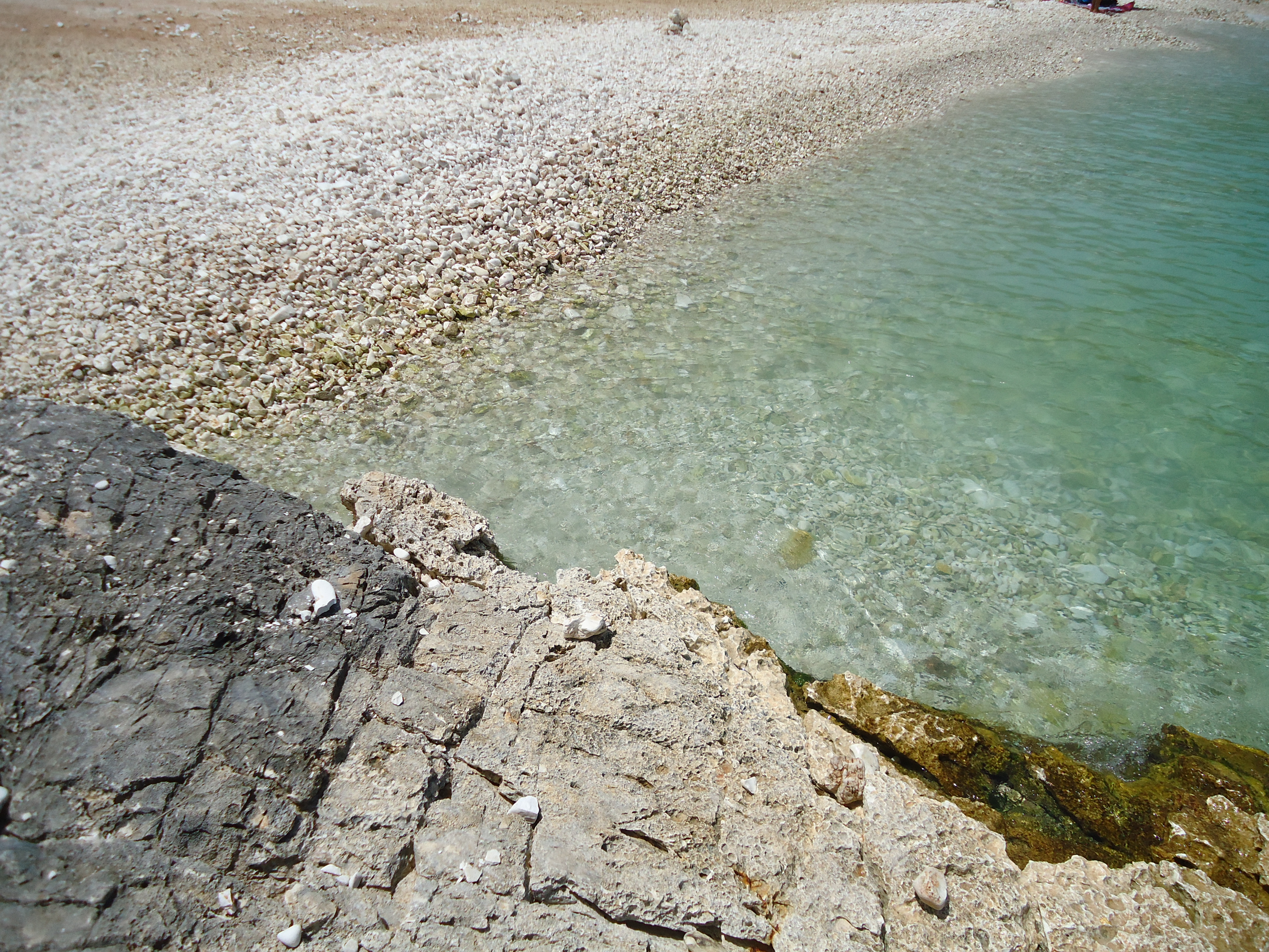 DSC02178.JPG