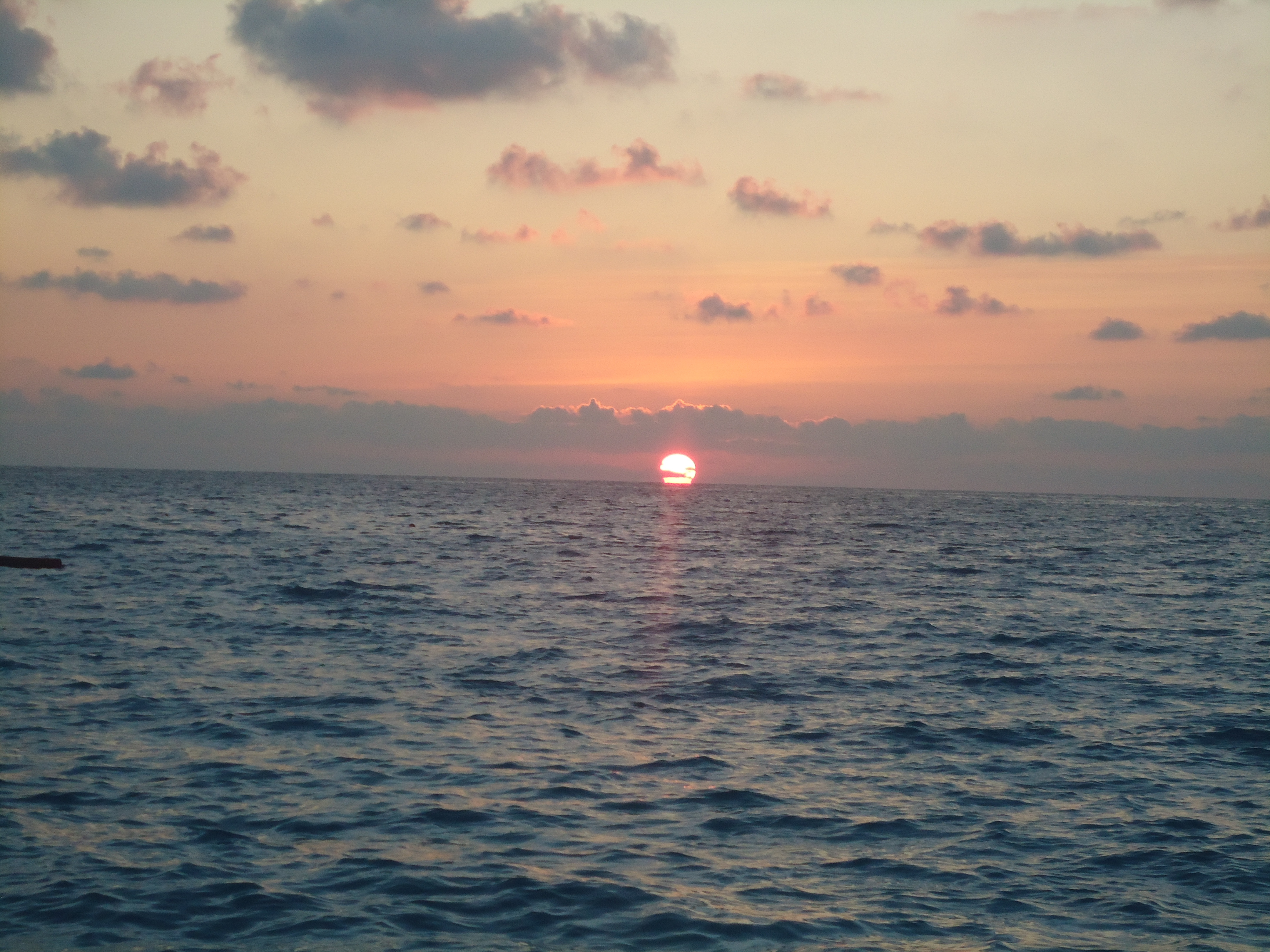 DSC02839.JPG