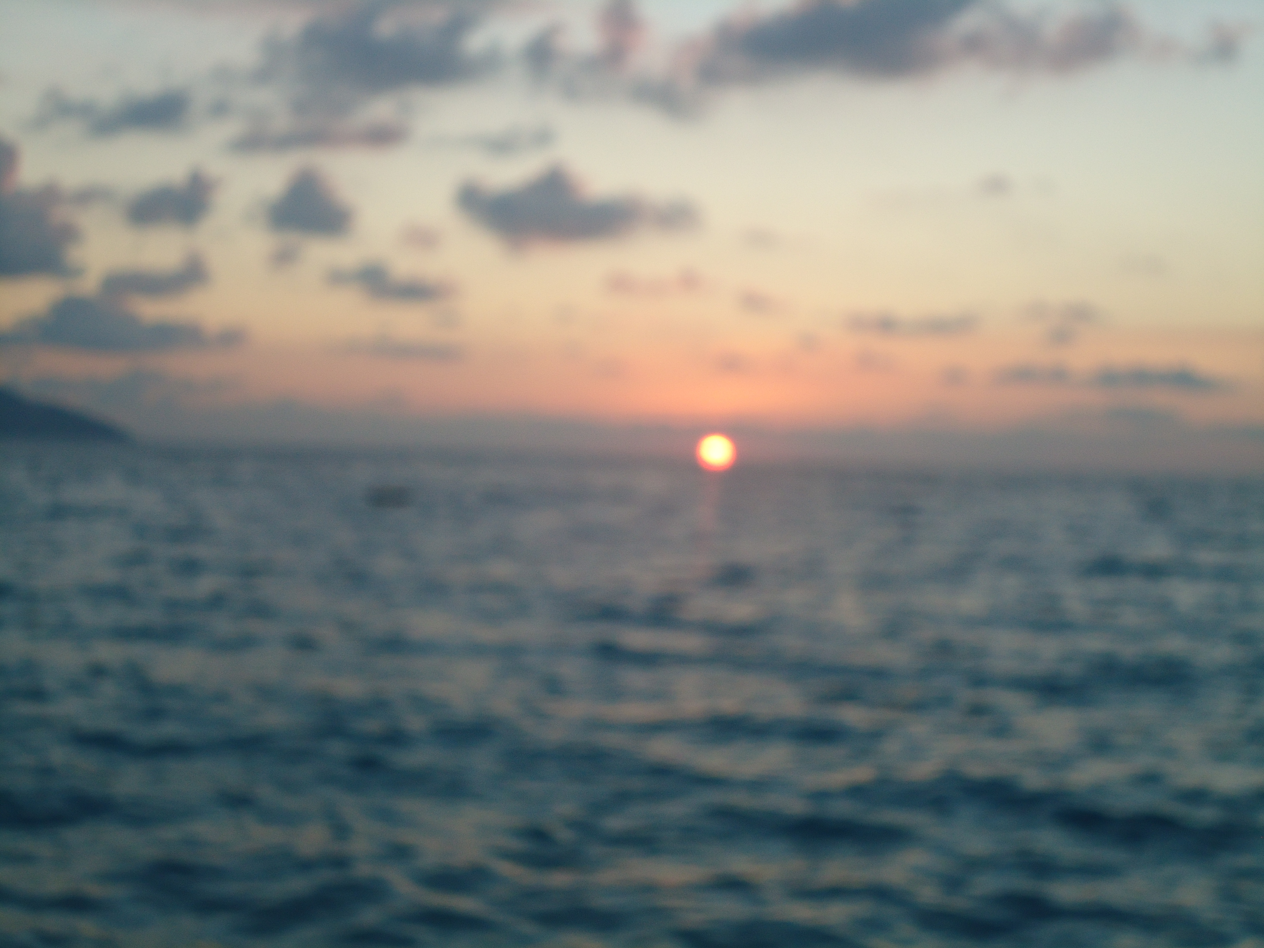 DSC02841.JPG