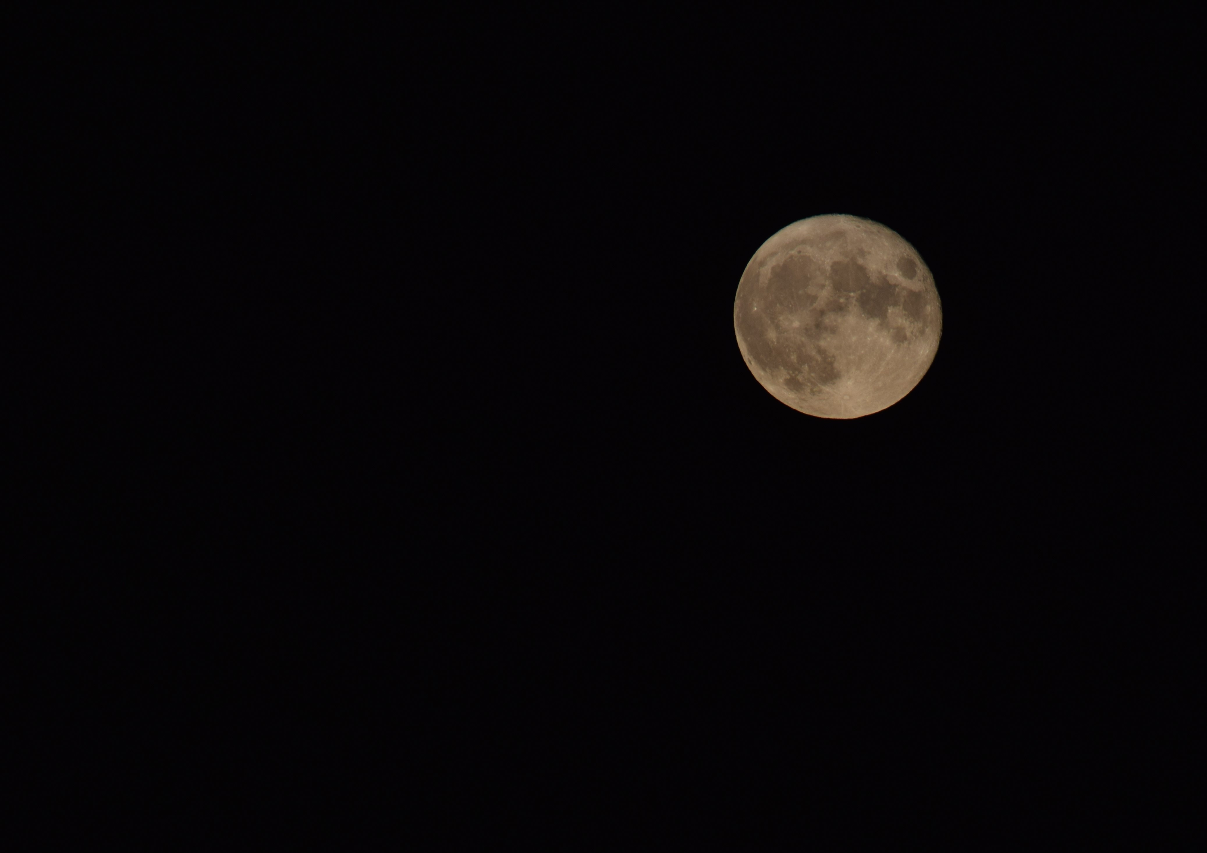 DSC_0024.jpg