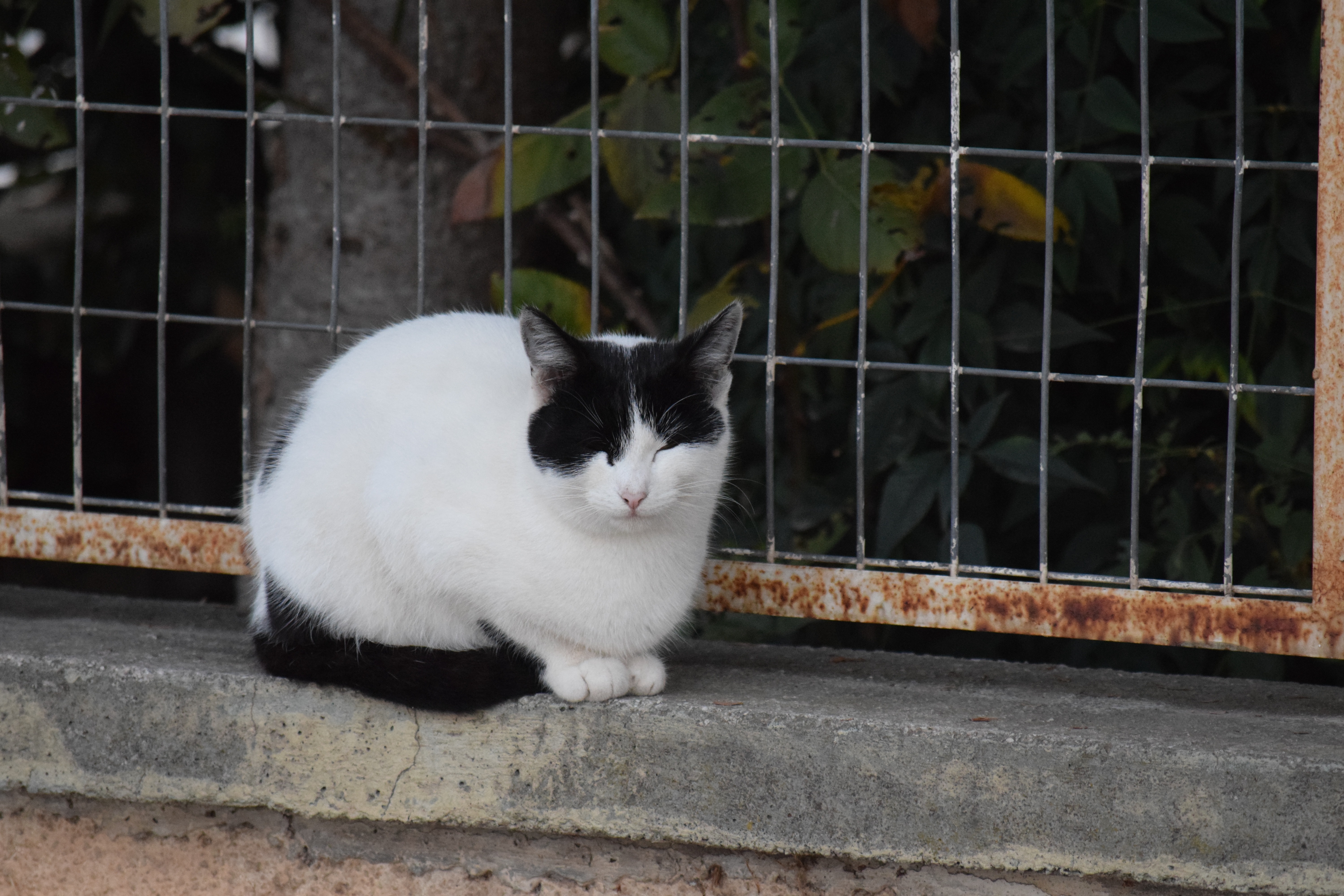 DSC_0032.JPG