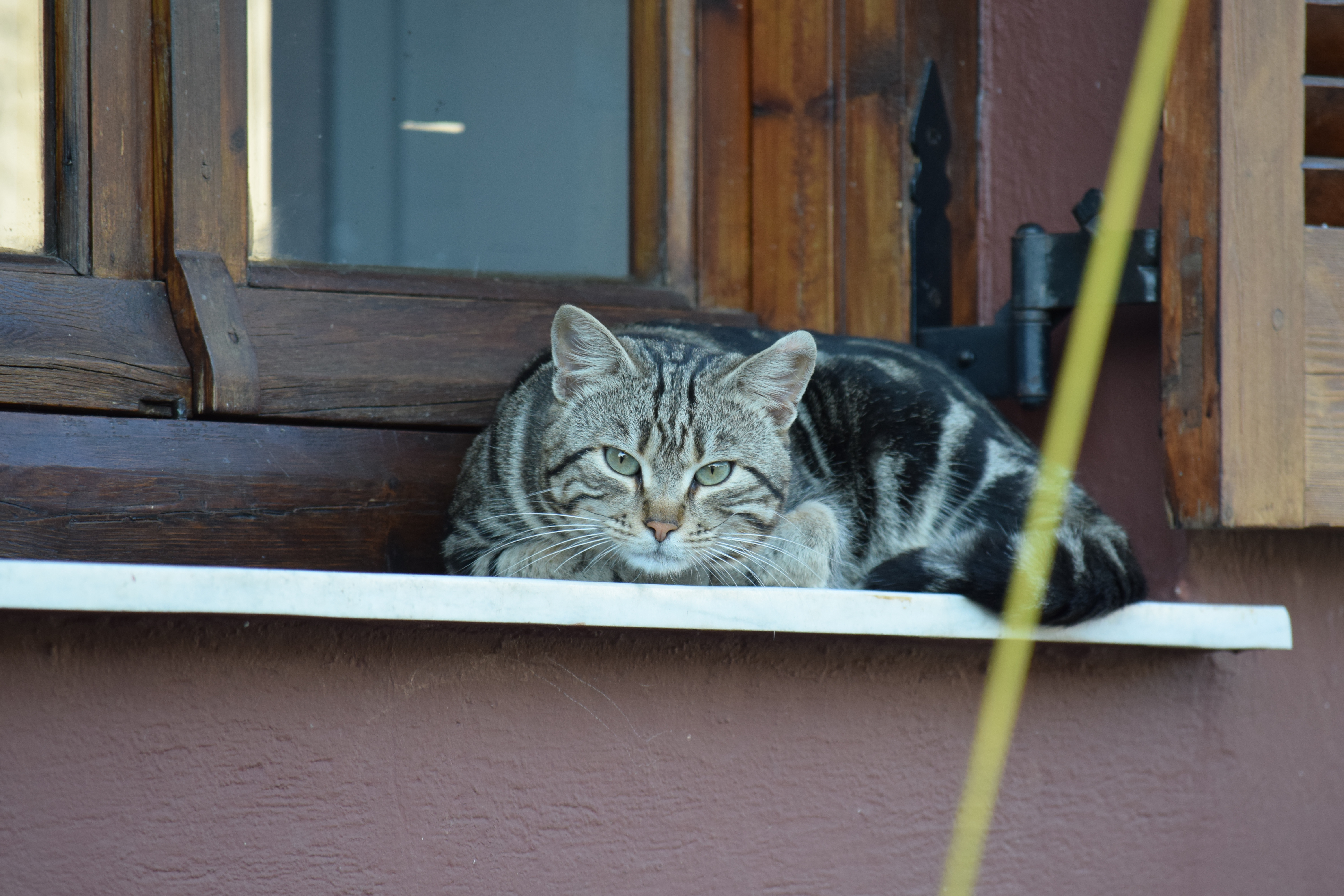 DSC_0078.JPG
