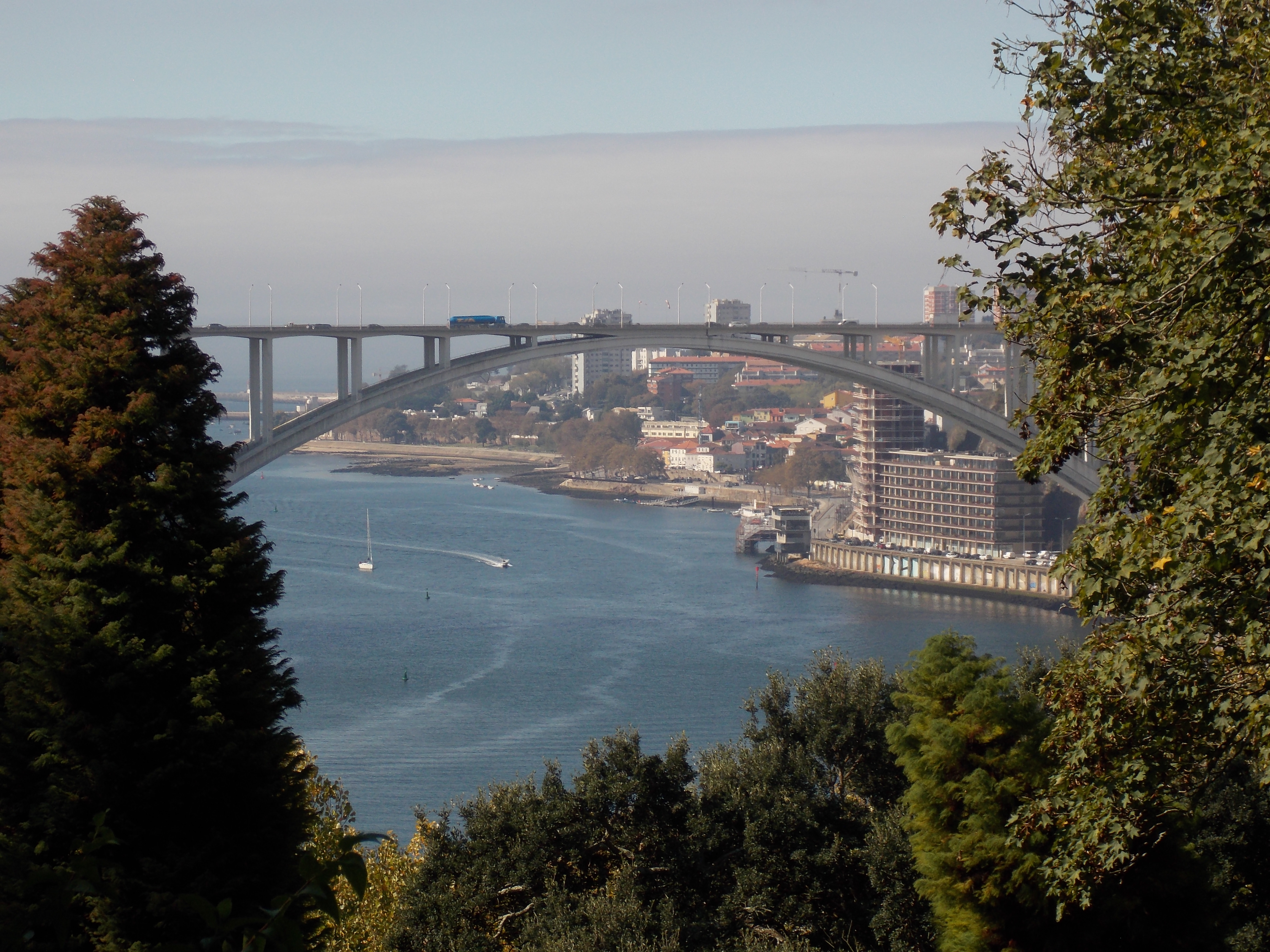 DSCN0220.JPG