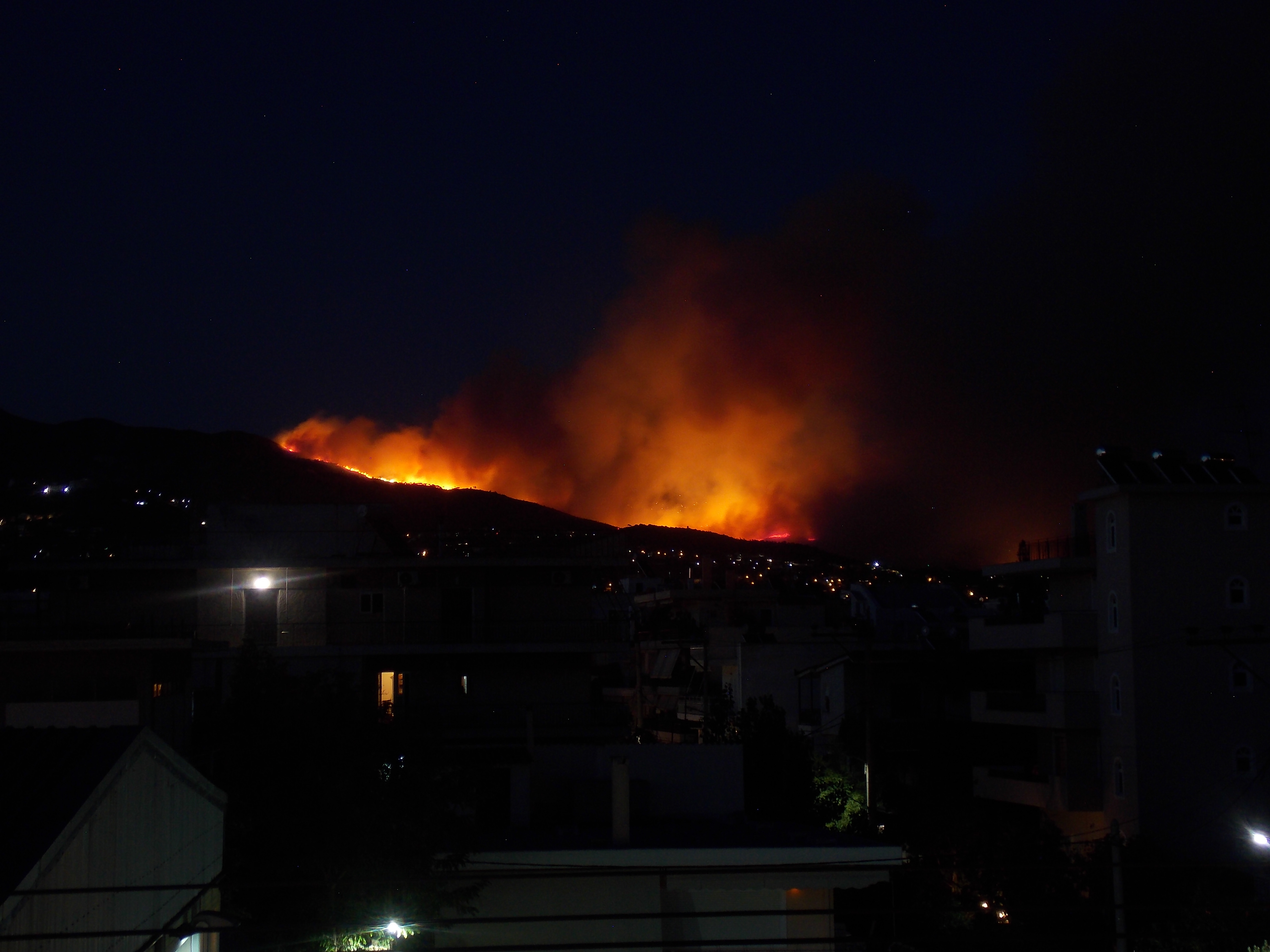 DSCN1151.JPG