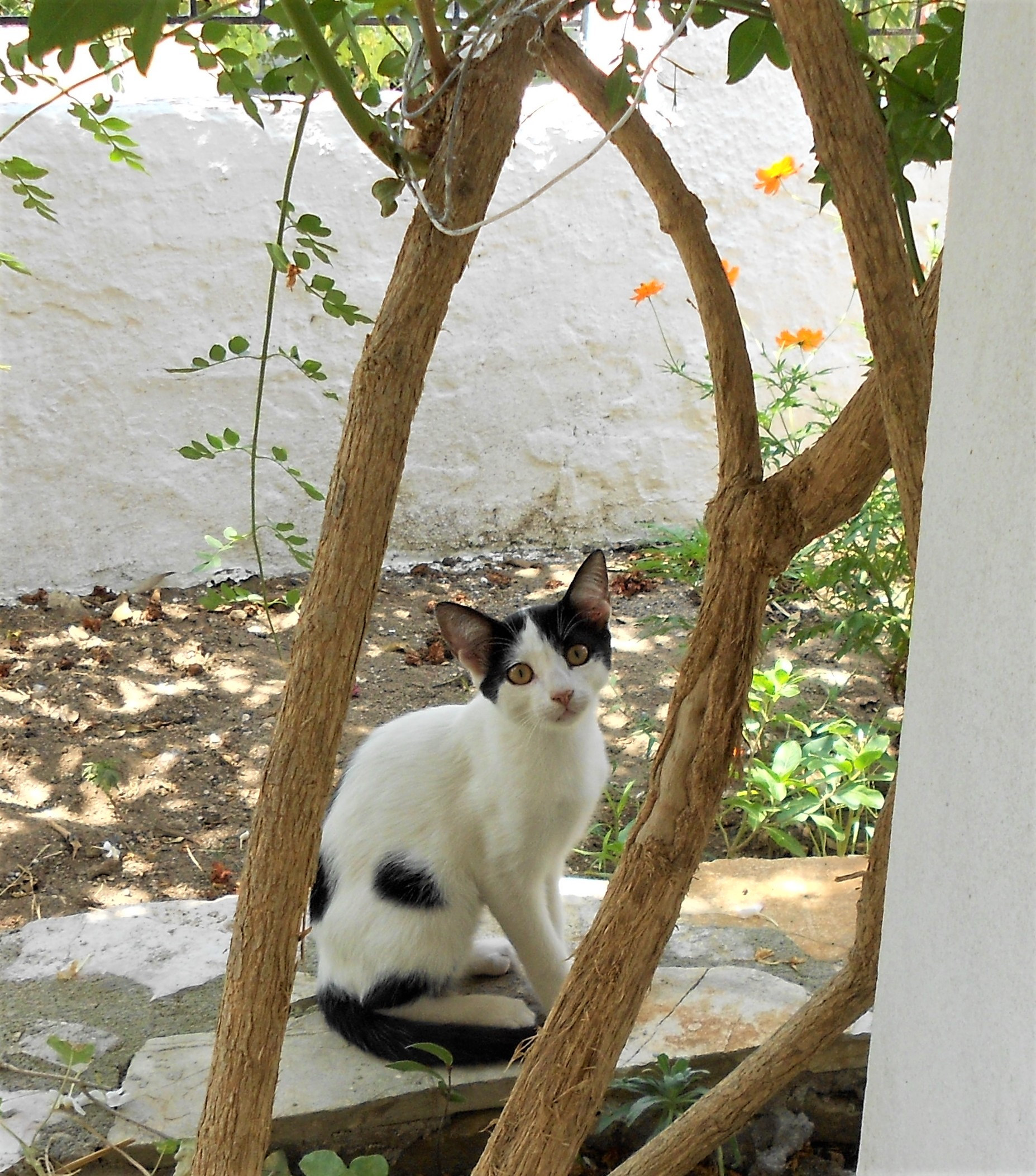 DSCN1251.jpg