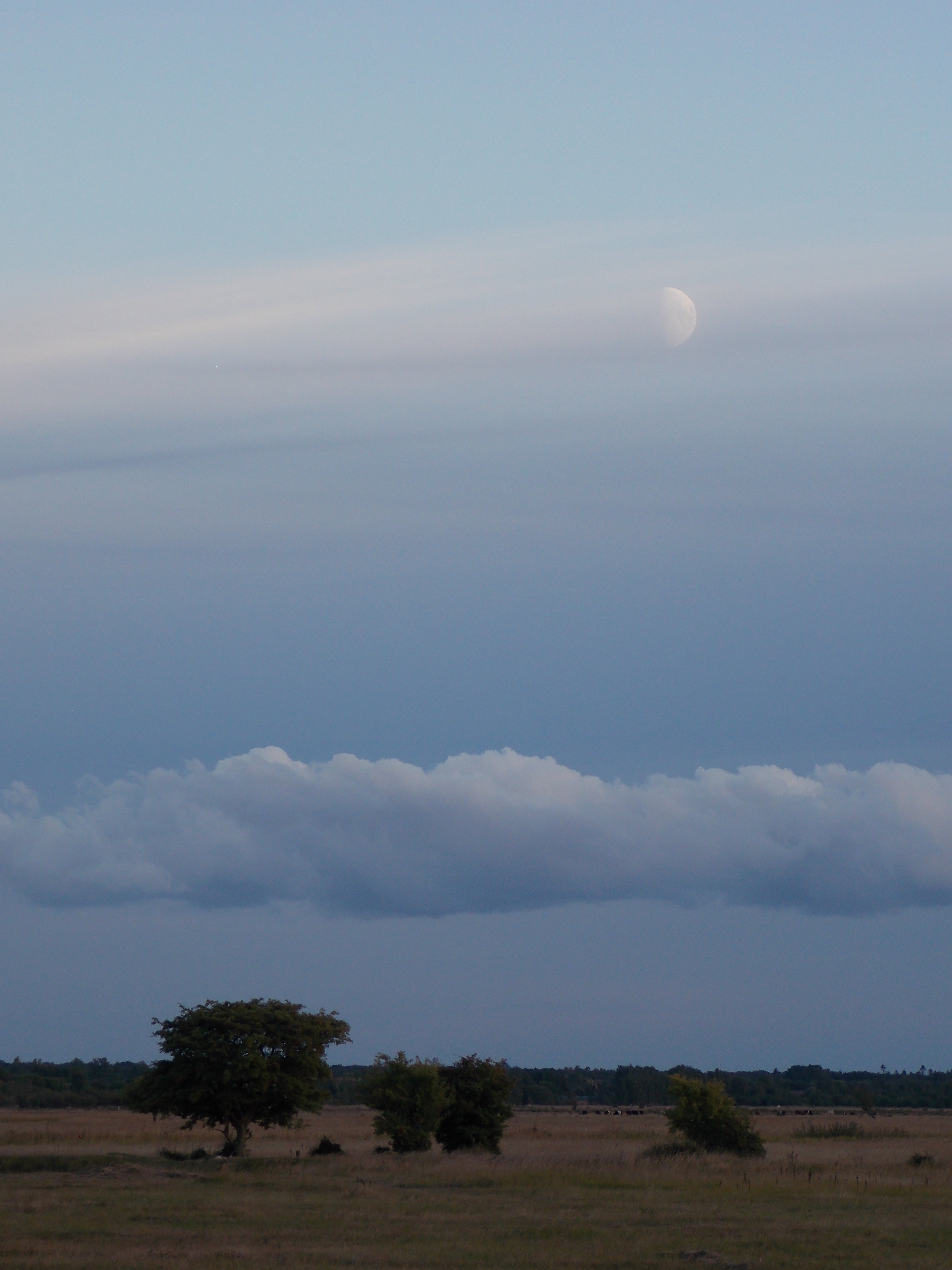 DSCN1659.JPG
