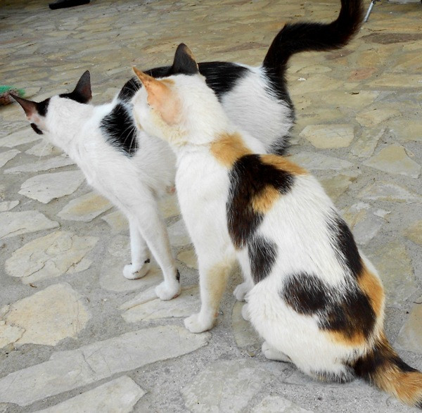 DSCN2757.jpg