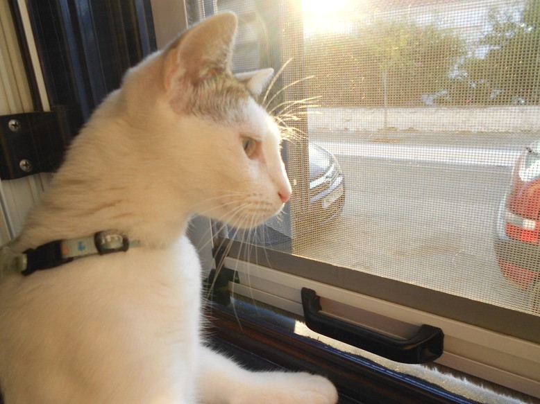 DSCN3219.JPG