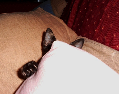 DSCN3798.JPG