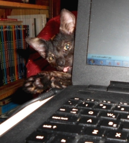DSCN3851.JPG
