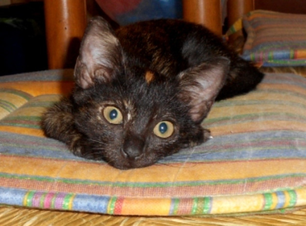 DSCN3861.JPG