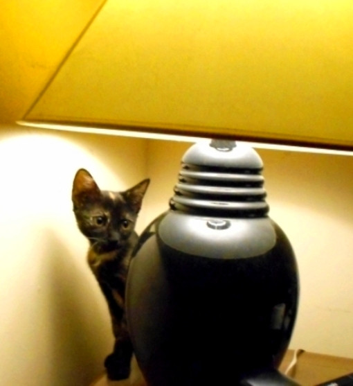 DSCN3967.JPG