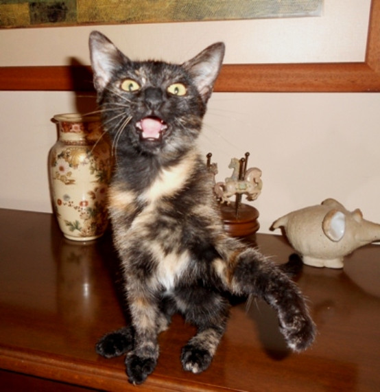 DSCN4108.JPG