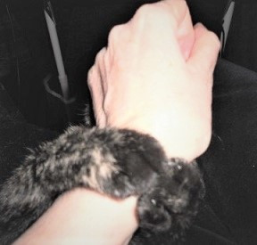 DSCN4133b.JPG