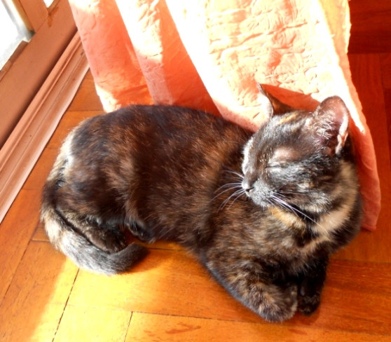 DSCN4286.JPG