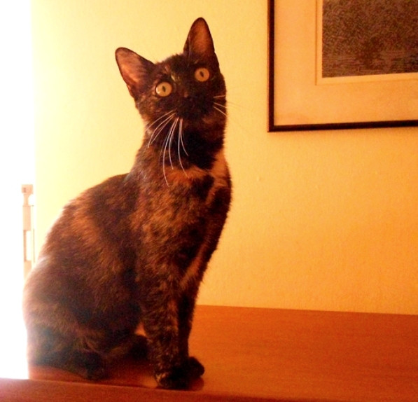 DSCN4387.JPG