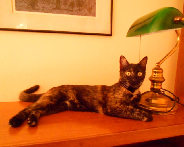 DSCN4389.JPG