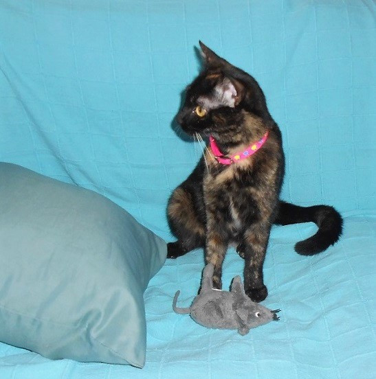 DSCN4628.JPG