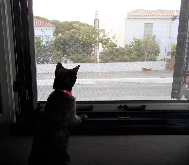 DSCN4674.JPG