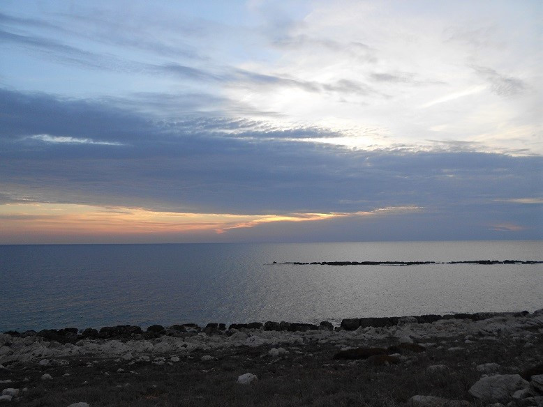 DSCN4794.JPG