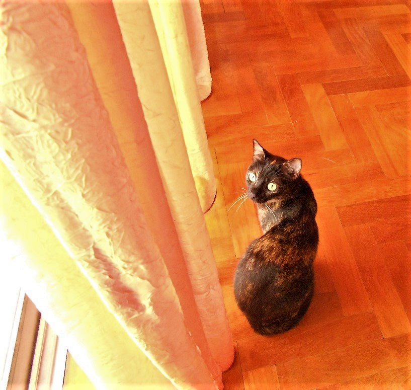 DSCN4868.JPG
