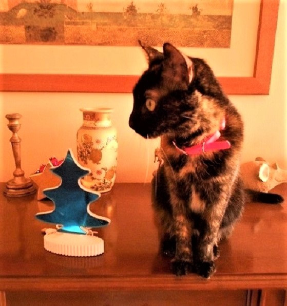 DSCN4916.JPG