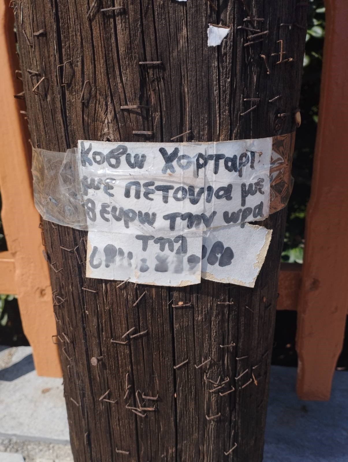 ert1.jpg