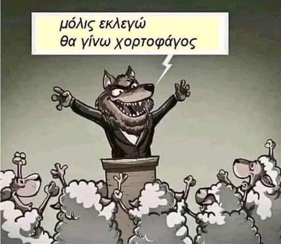 FB_IMG_1674506178927.jpg