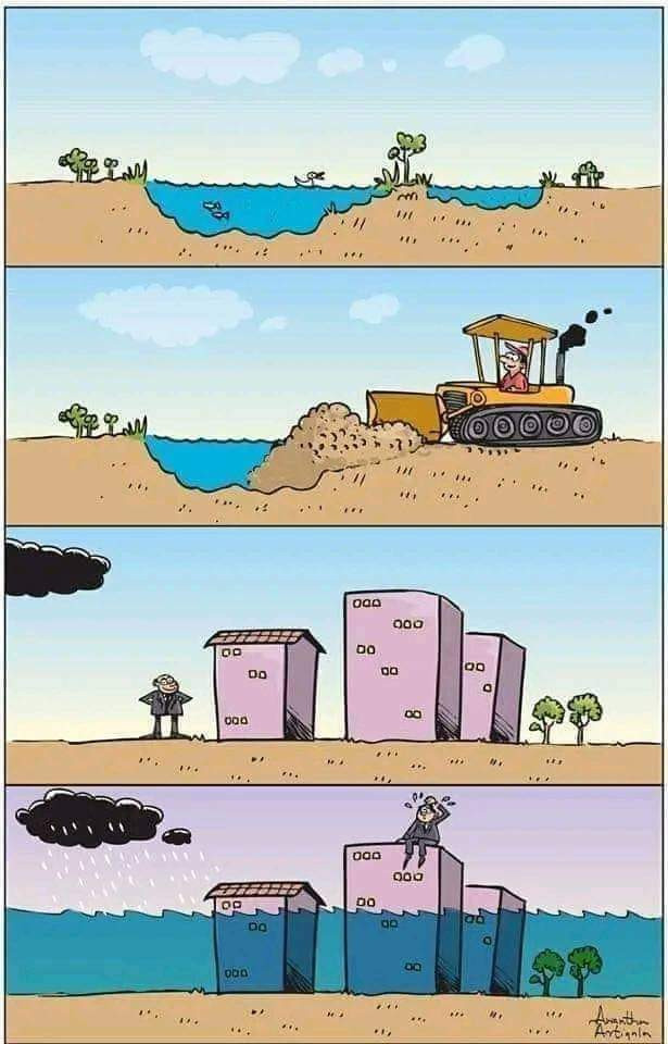FB_IMG_1713540385255.jpg