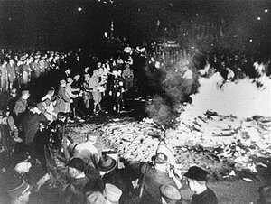 goebbels_books.jpg__300x226_q85_crop_subsampling-2_upscale.jpg
