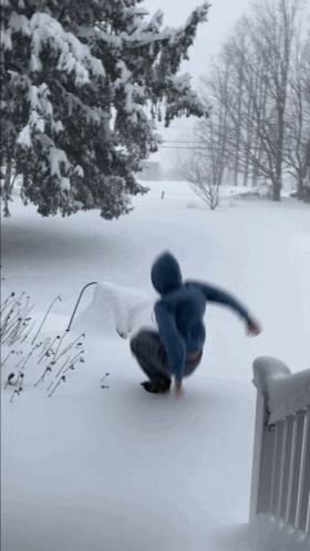 happysnowday-snow.gif