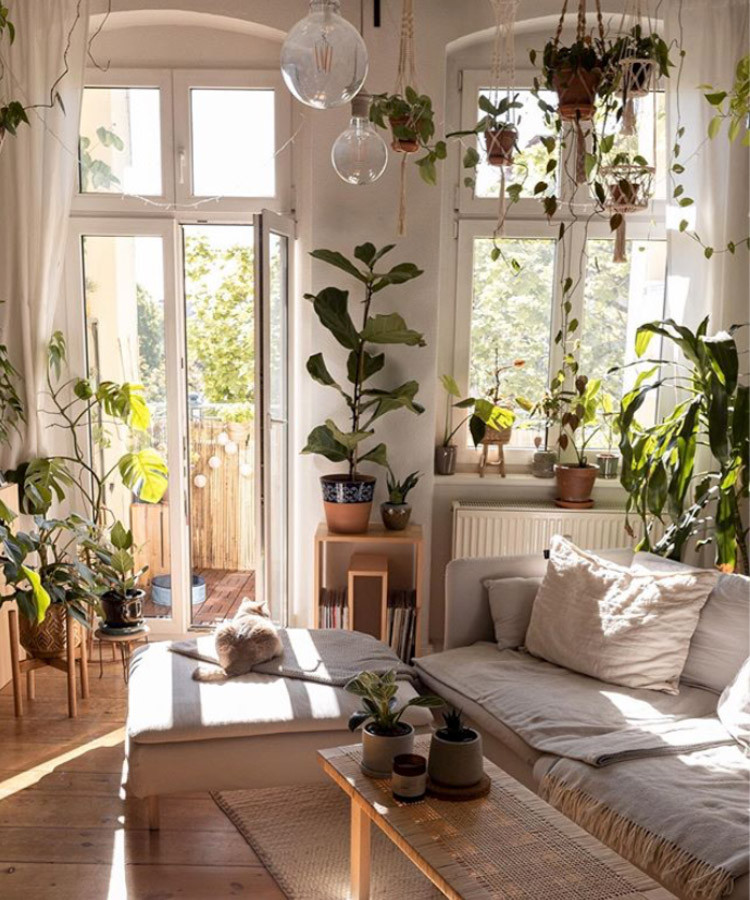 Home tour with cat and plants-9.jpg
