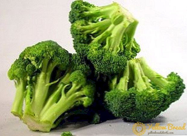 how-to-grow-broccoli-outdoors.jpg