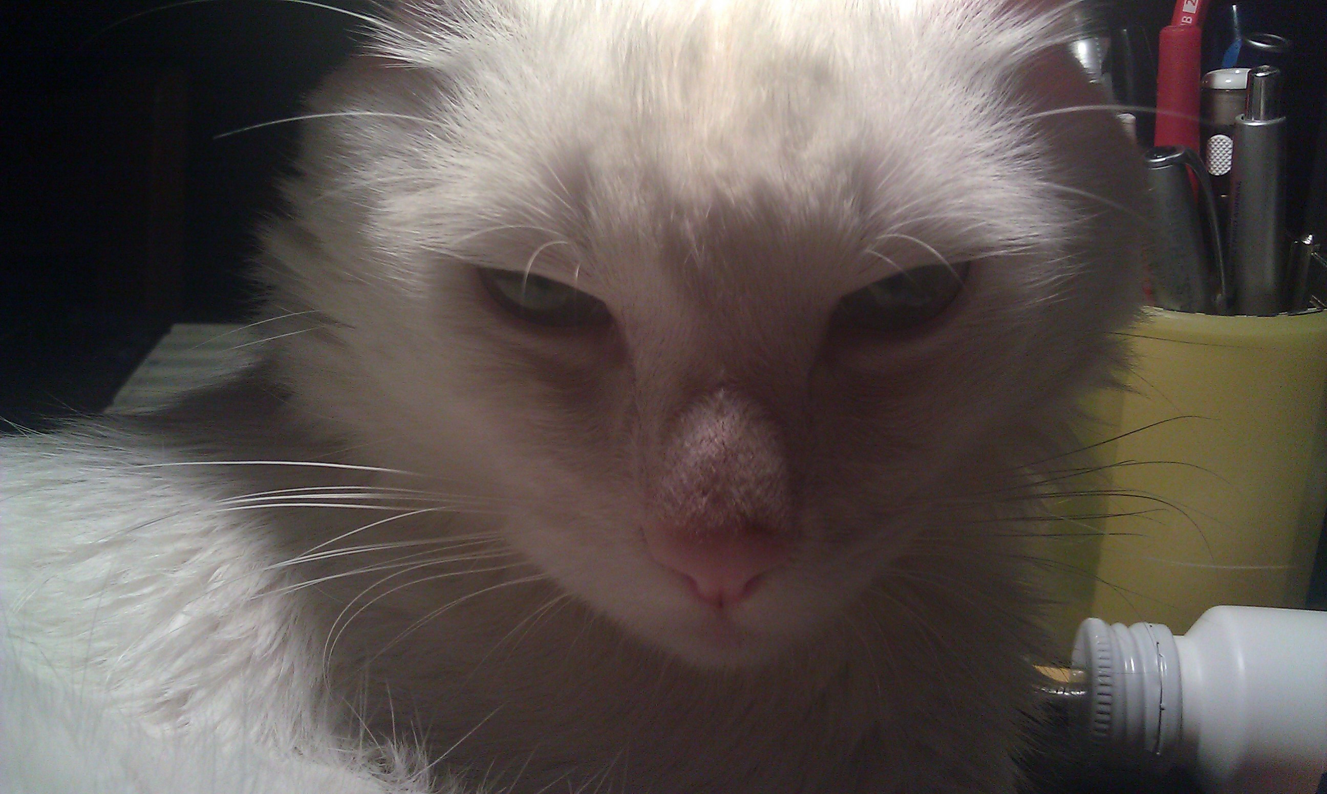 IMAG0570.jpg