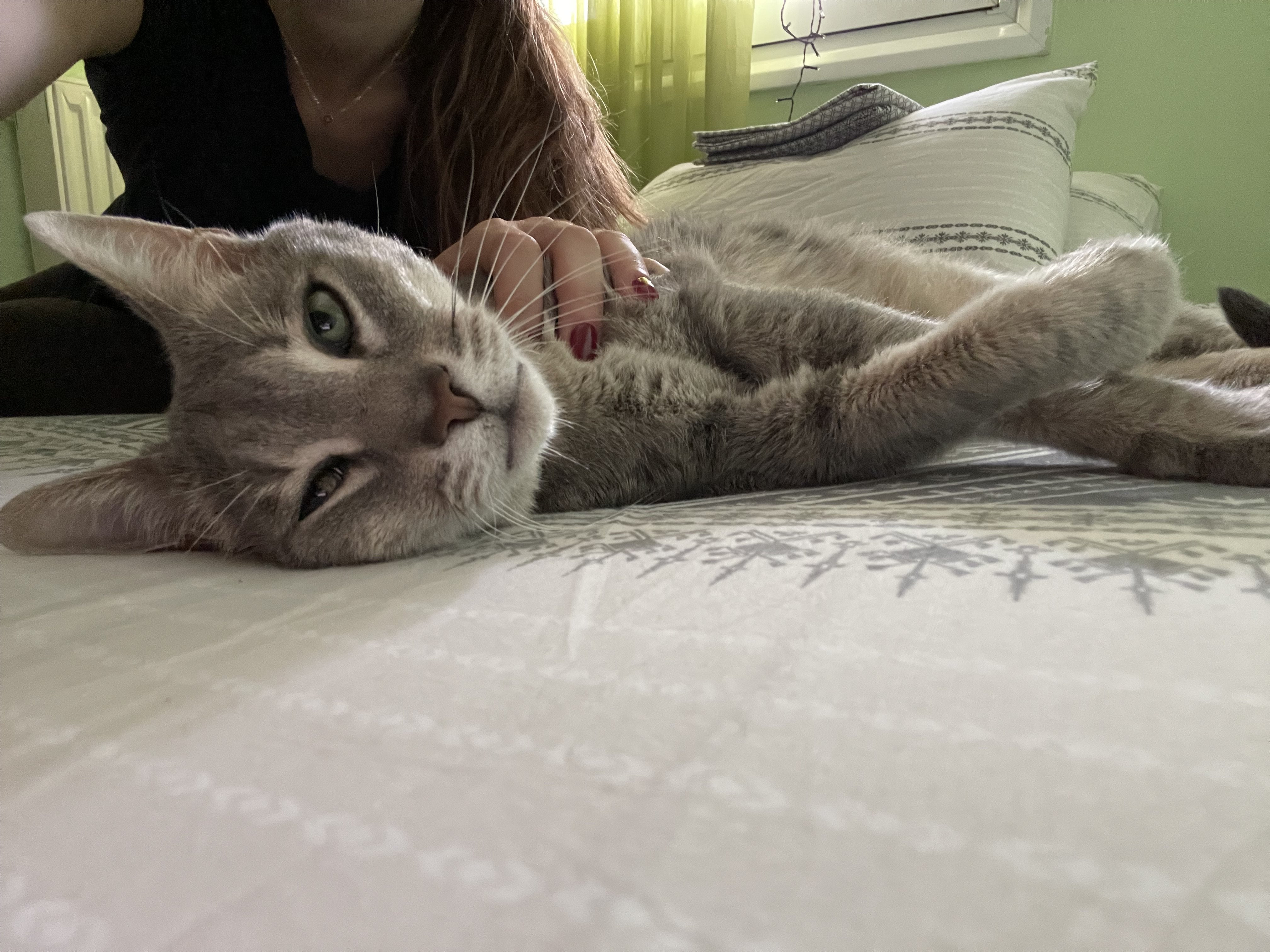 IMG_0070.jpeg