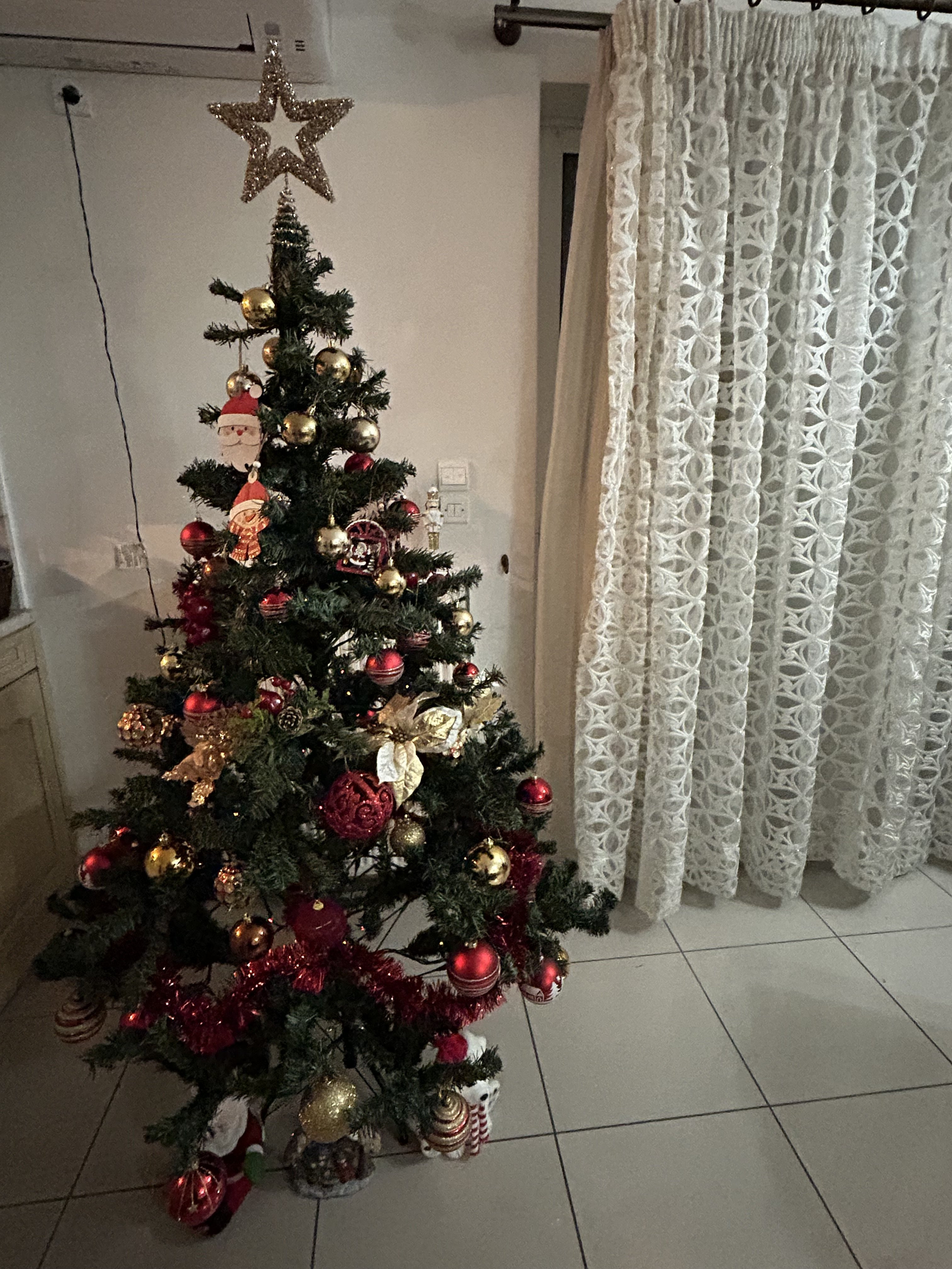 IMG_0231.jpeg