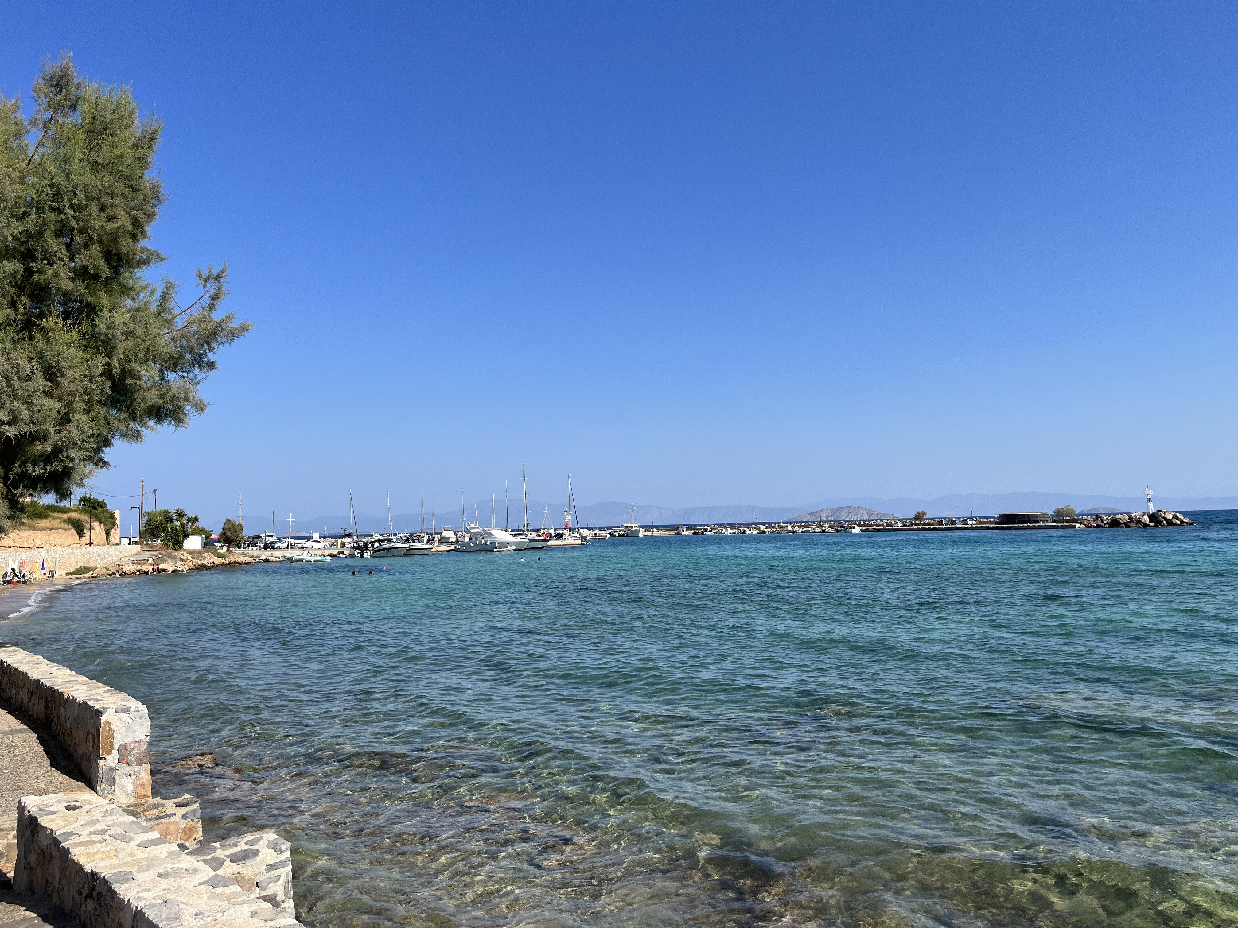 IMG_0439.jpeg