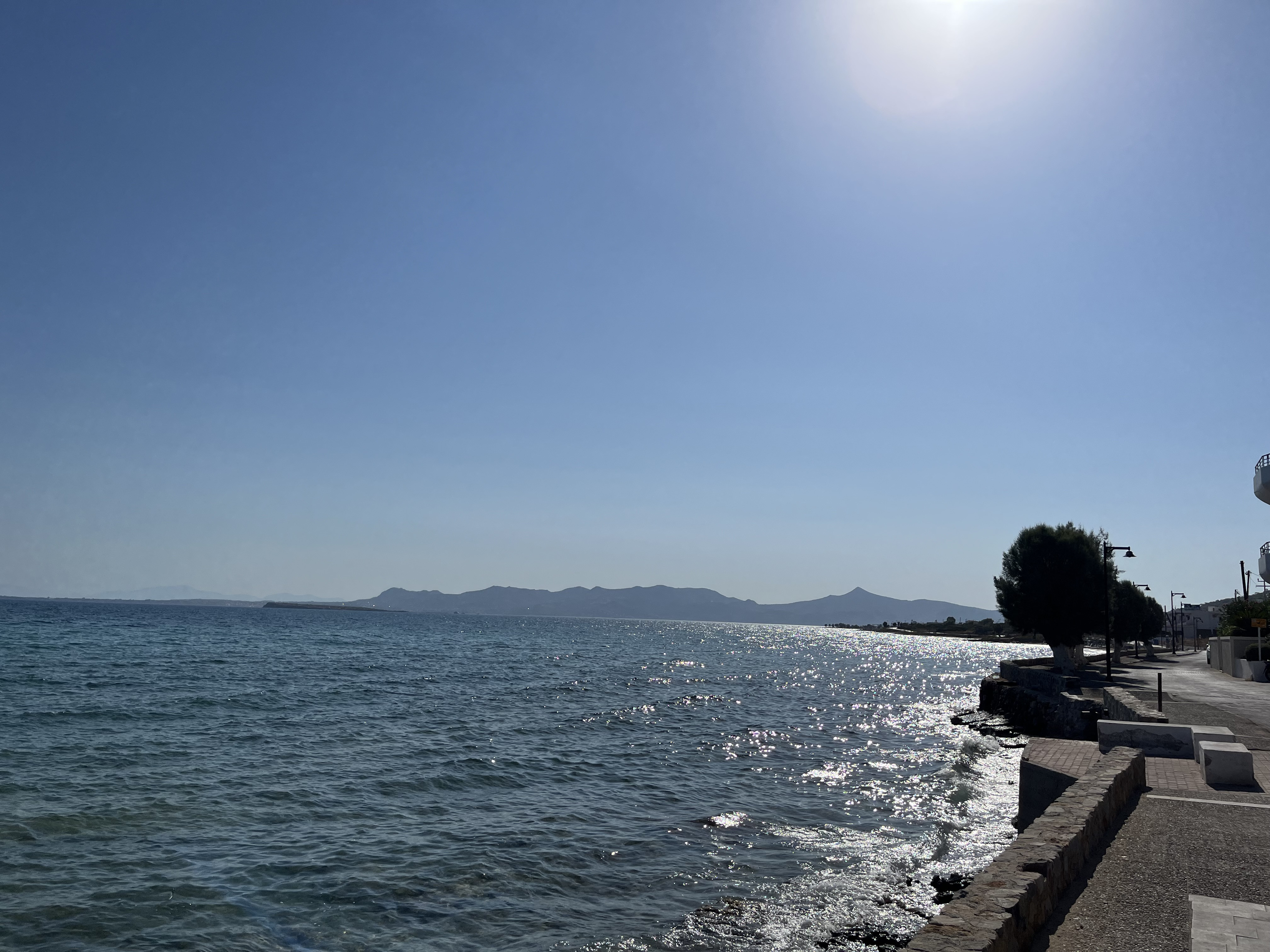 IMG_0440.jpeg